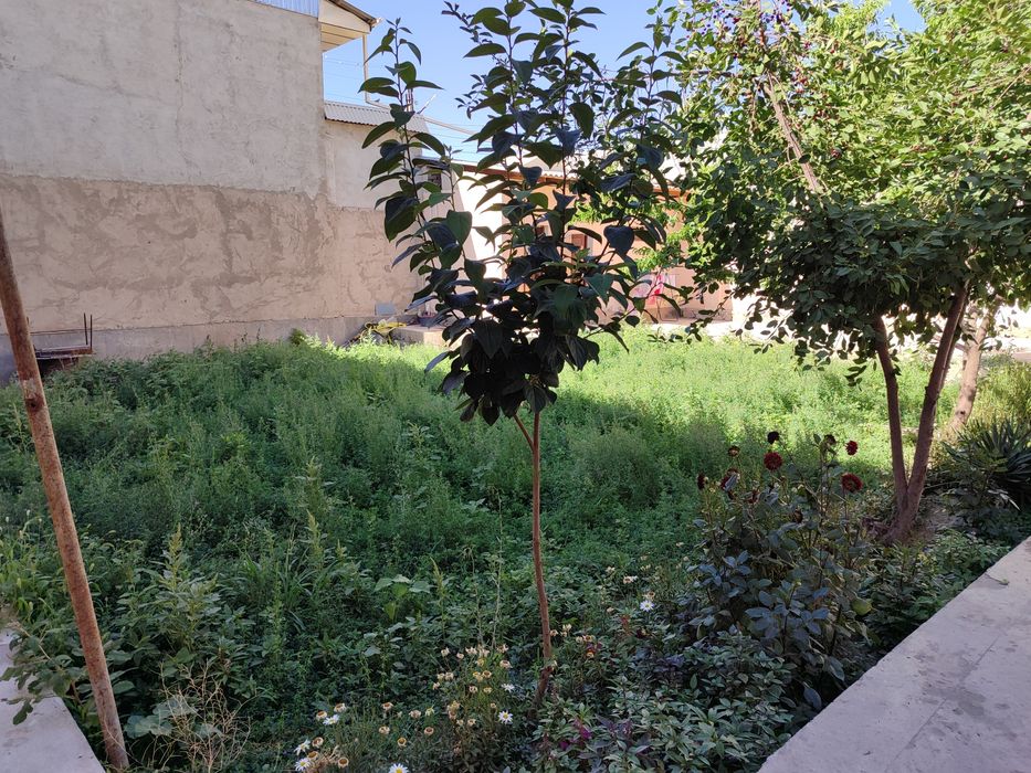 Ховлимиз 6.5сотих газ свет сўв доимий