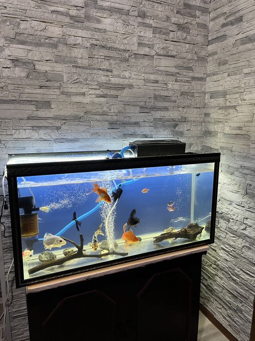 Үйге арналған аквариум сатылады