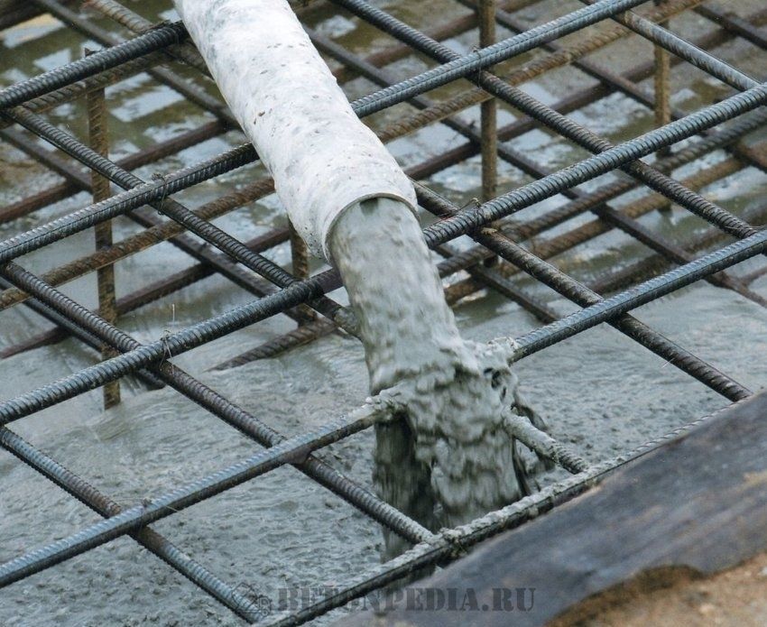 Жидкий Битон любой марка