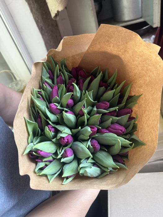 Продам тюльпаны по доступной цене!