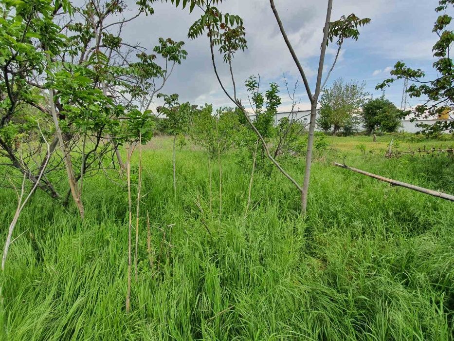 Продава се Парцел в Асеновград - 1400 кв.м за 12 €/кв.м - Снимка #8