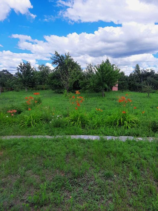 Продам отличную дачу - райский уголок