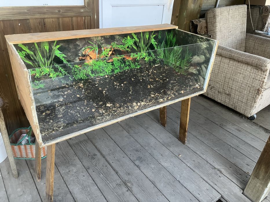 Отдам террариум