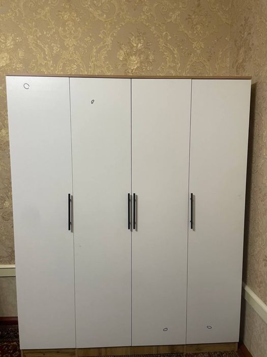 xxx мүшелерінің суреттері