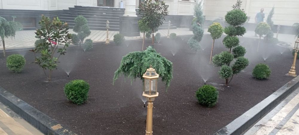 Посев и укладка газона | Gazon ekish va yotqizish hizmati