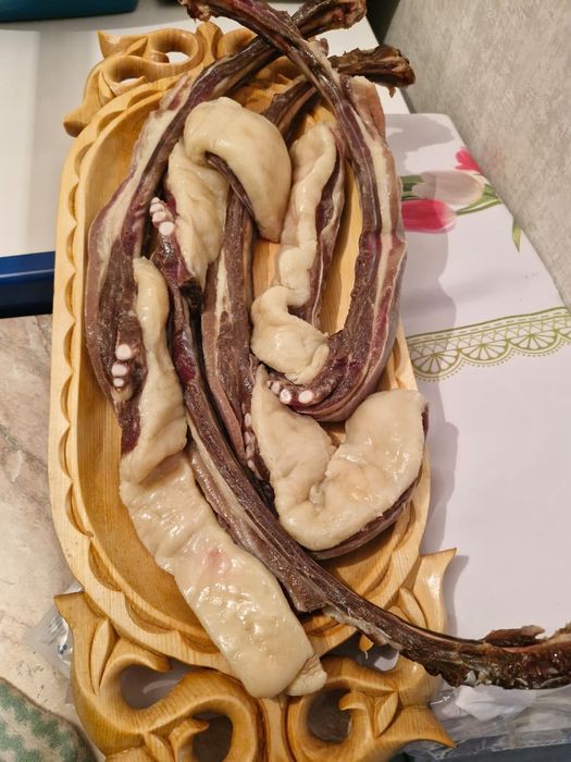 Продам шұжық, қазы