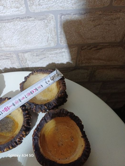 Може да се ползват като пепелници