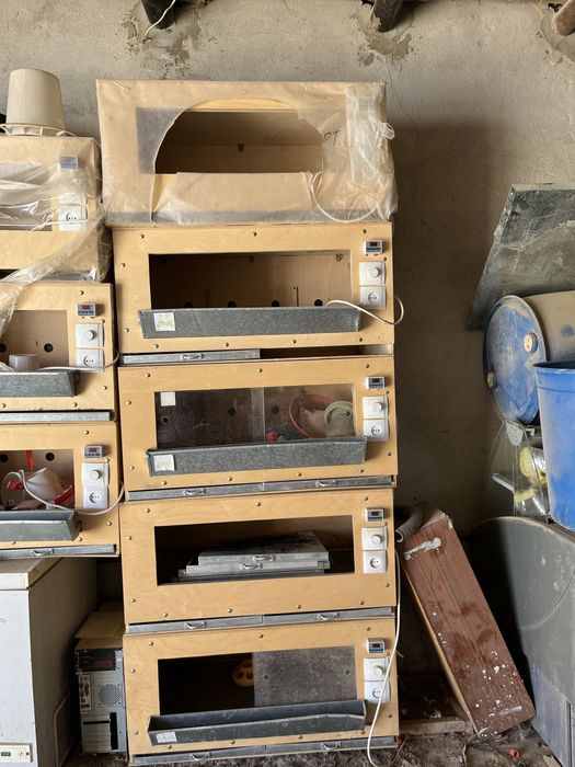 Жаңа туылған балапан бағатын домик