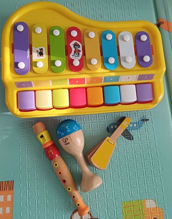 Set instrumente muzicale