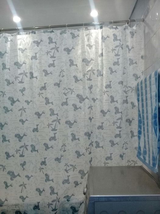 1,5ка посуточно в центре