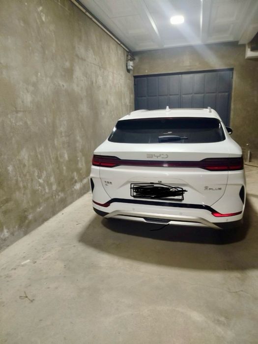 Byd chempion smart