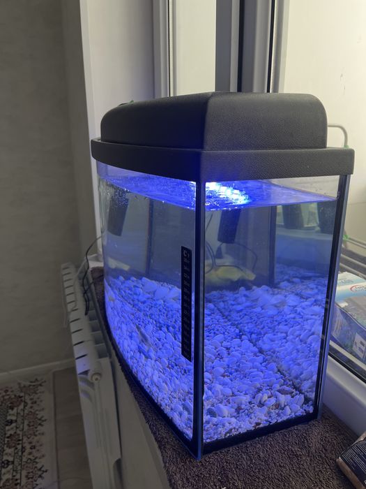 Аквариум 50литр Продам В комплекте