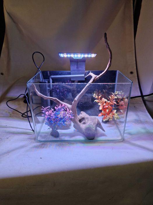 Acvariu 8 l cu filtru si decoruri