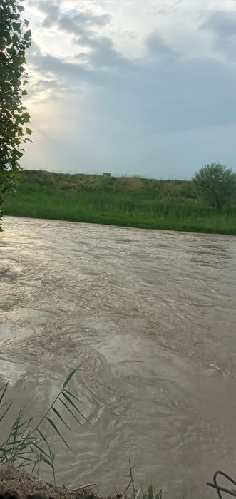 Quruq yer sotiladi 23 sotxli.