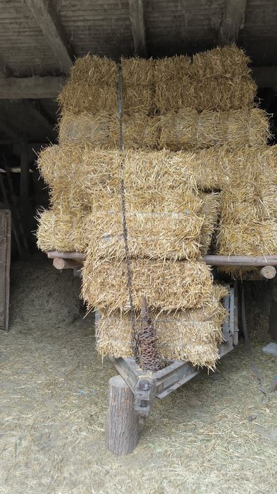 Vând baloți de paie