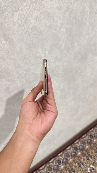 iPhone Xs Max 64GB 77%