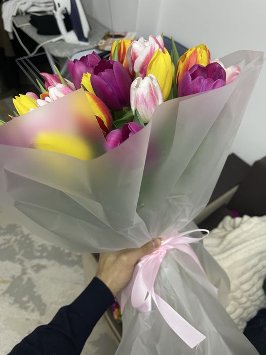 Продам тюльпаны 51шт свежие