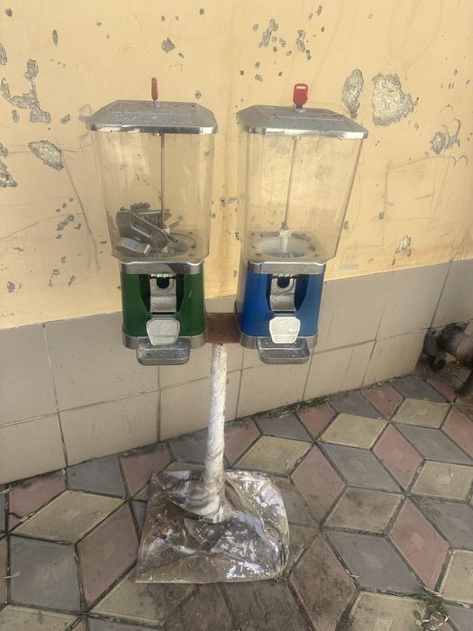 Жевательный апарат