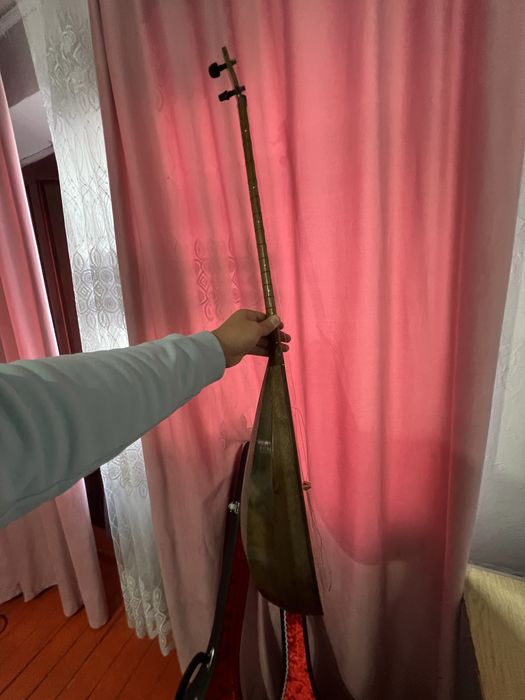 Ақынның домбырасы