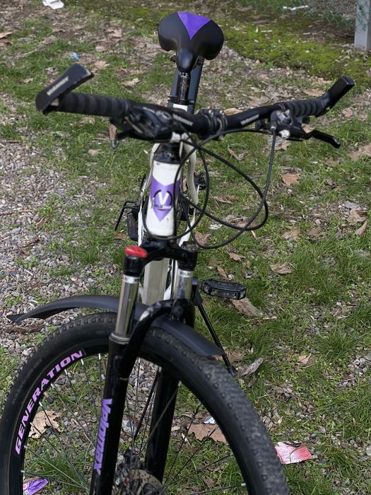 Velik 29 razmerda ideal holatda