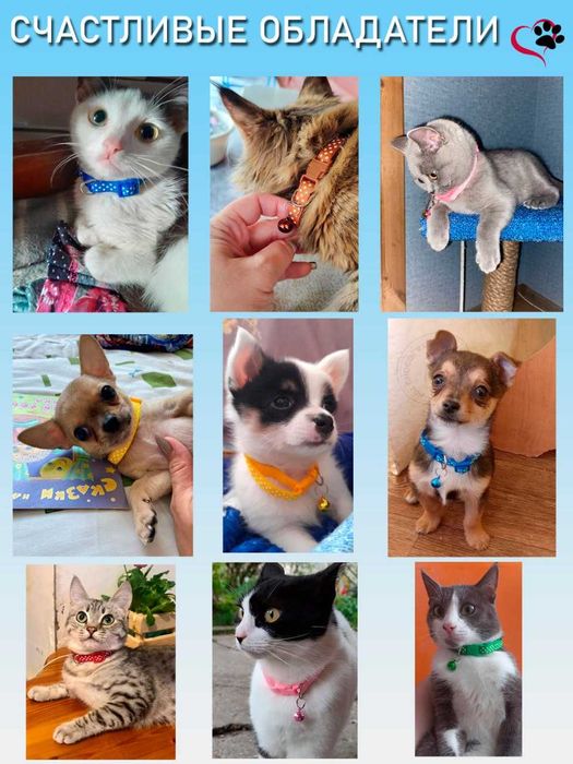 Ошейник для кошек и собак с колокольчиком