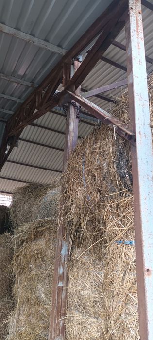 Structura metalica  pentru hala metalica