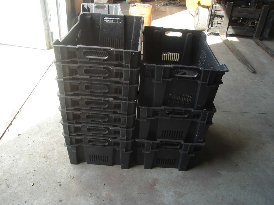 lazi fructe diferite dimensiuni