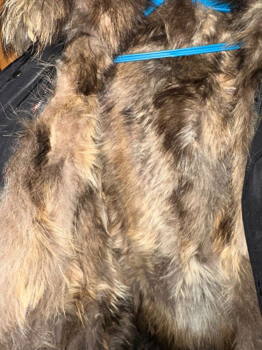 Парка зимняя