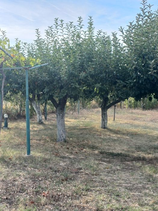 Продавам вила в месноста Орлето Плевен