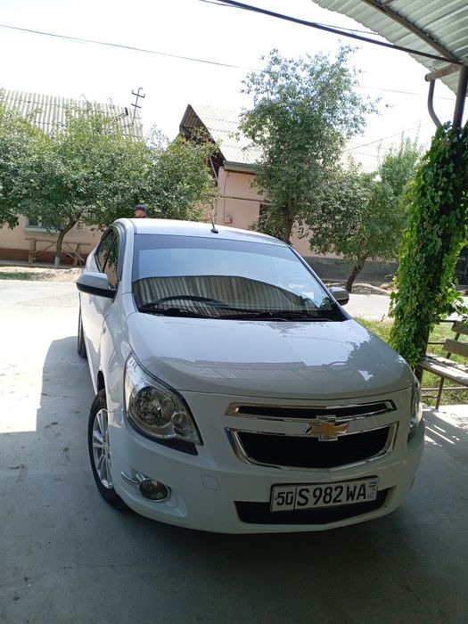 Кобилт идял холатда