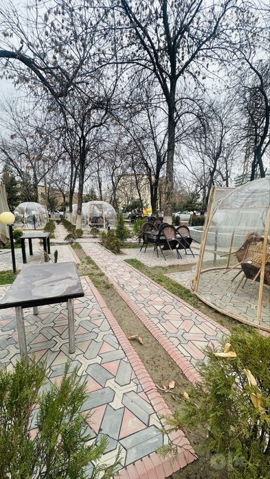 Tayyor Kapsulalar