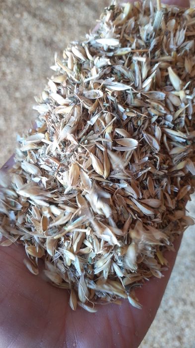 Отруби Отходы полова овёс