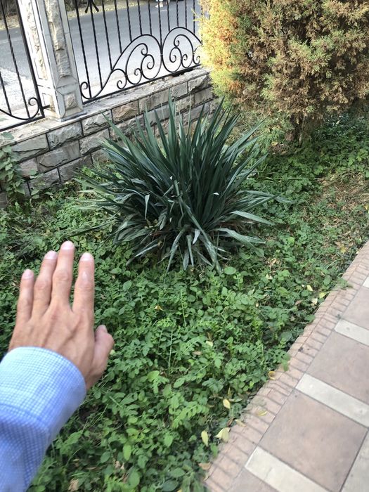 yuka sotlad bita joyda 4 5 ta chqan 100 dan bervoraman bita joyda xarx