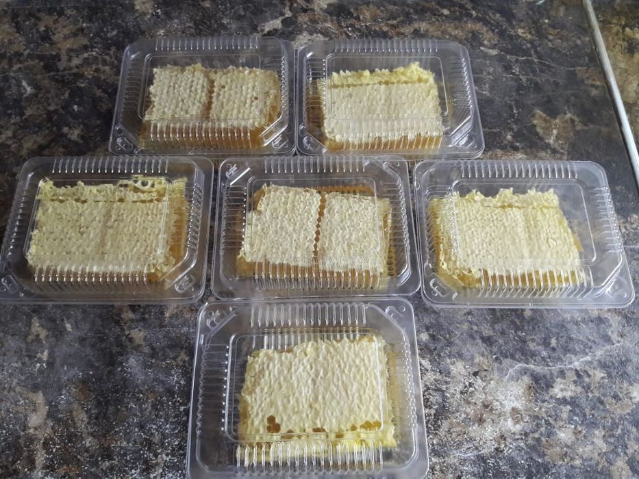 Продам СОТОВЫЙ МЁД со своей пасеки