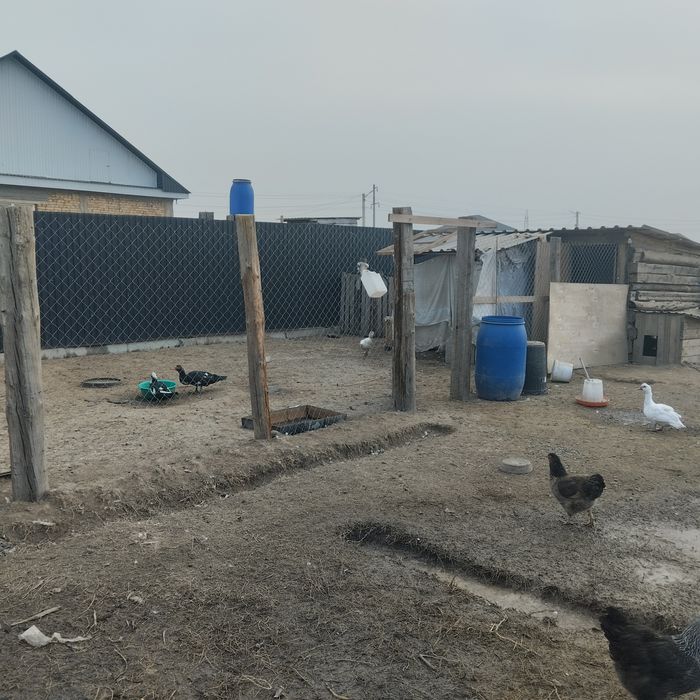 Дом в тихом районе