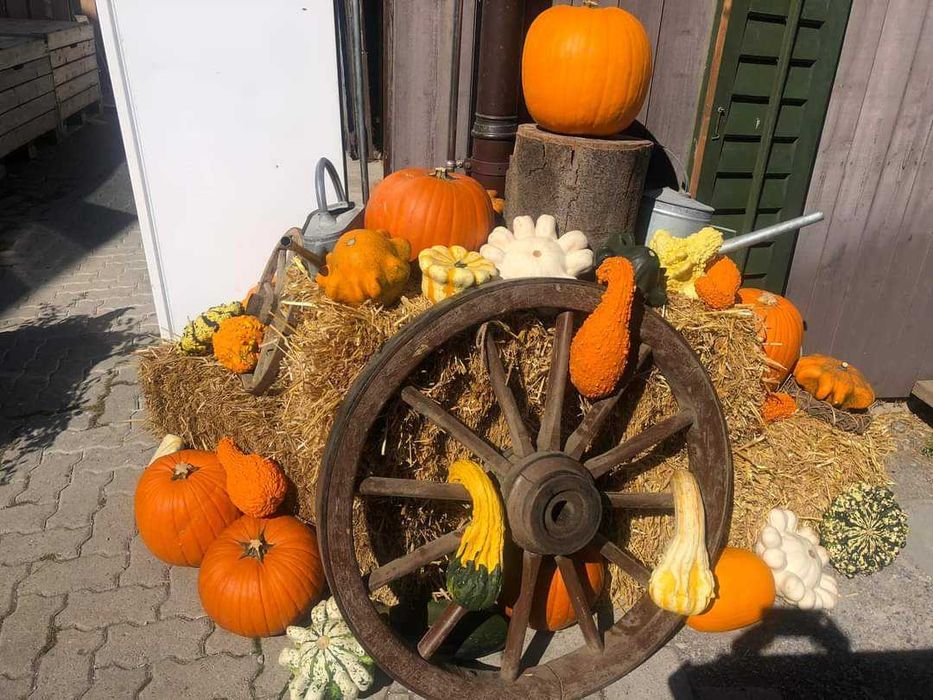 Бали слама за градина, мулчиране, декорация или фотосесия