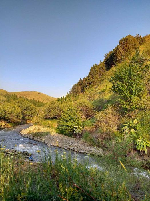 Jizzax Baxmal dam olish maskani sotiladi