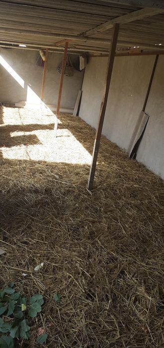 Калифорния чувалчанглари ва сифатли биогумус Гибрит Куёнлар