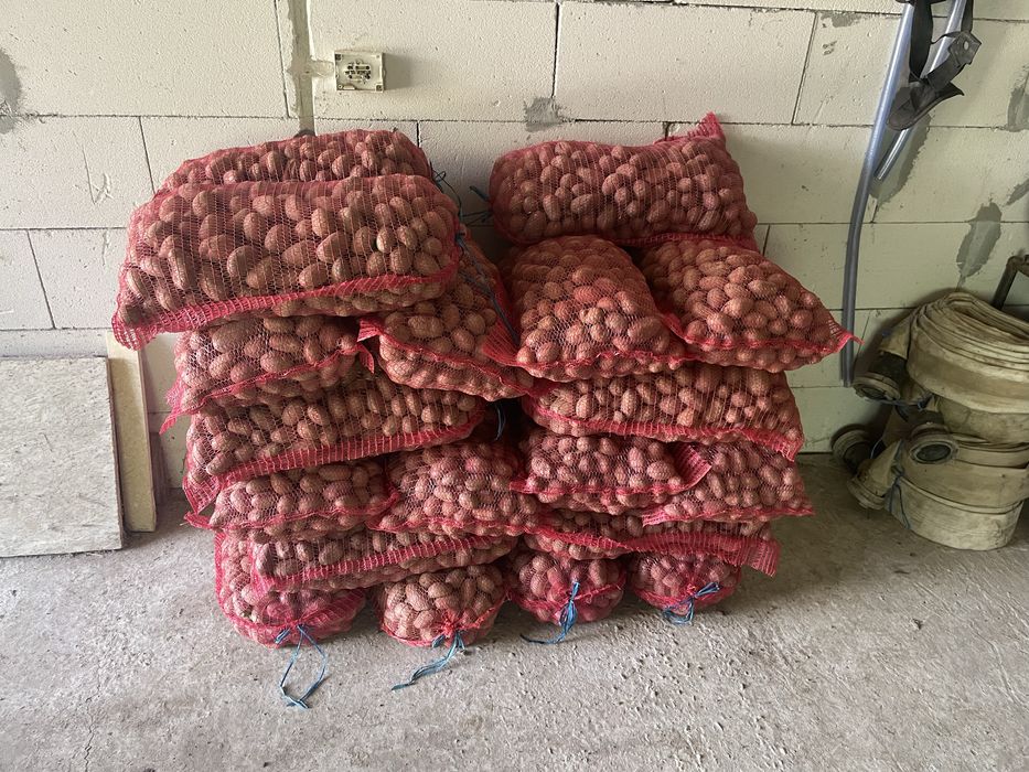 Cartofi pentru animale