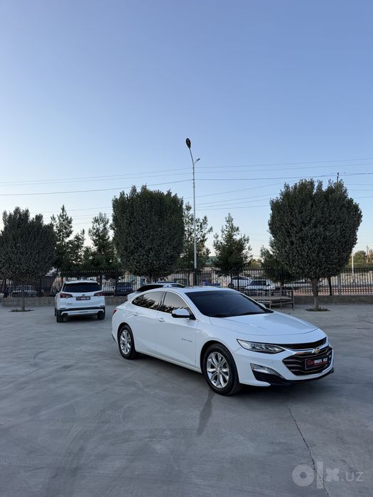 Malibu premier 2022 full navarot