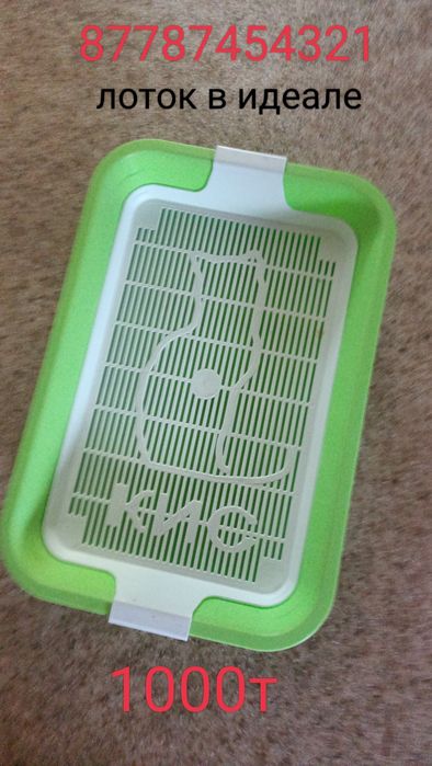 Лоток 1000 тенге
