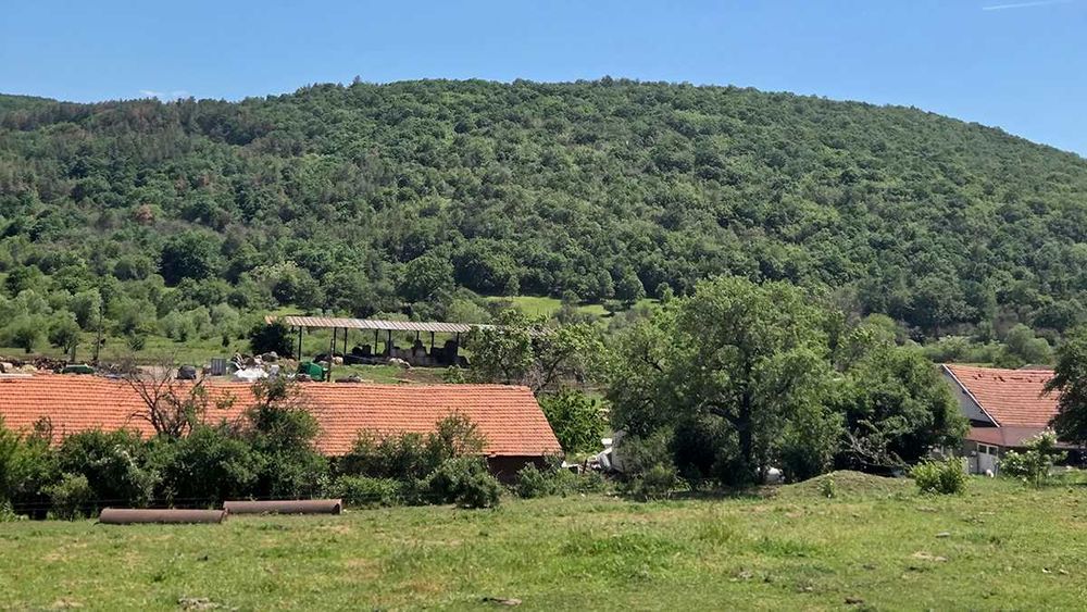 Имот за ниско застрояване в с.Богданлия общ. Елин Пелин