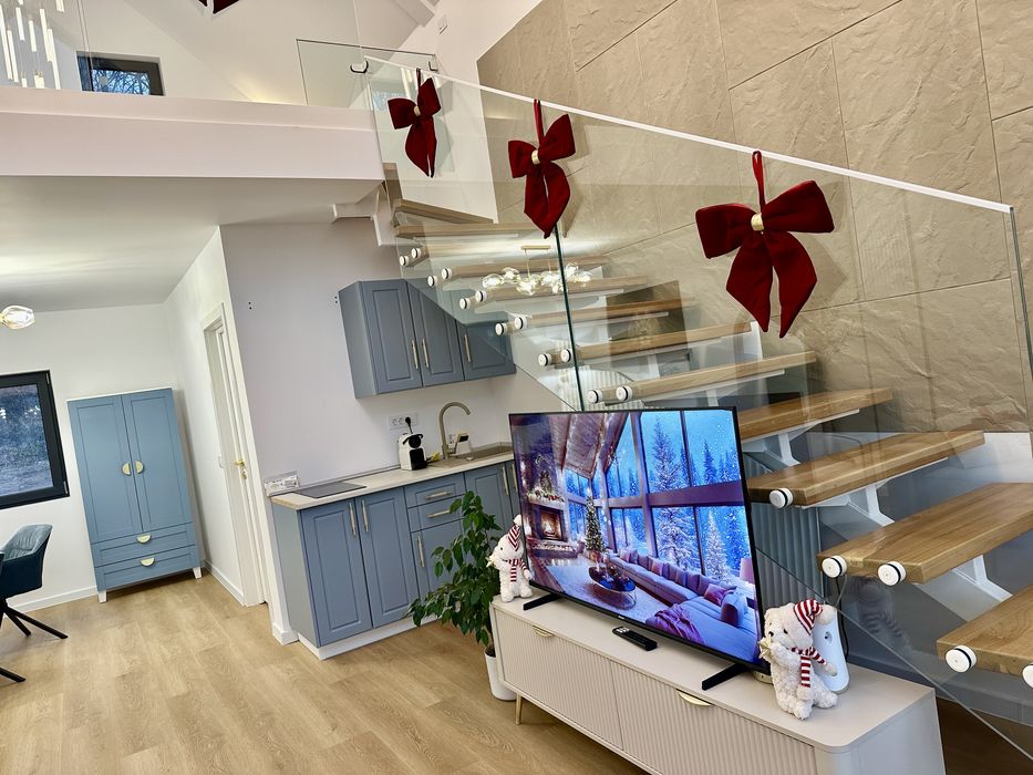 Cazare inchiriere Baile Felix A Farme/Craciun/Revelion pensiune/cabana