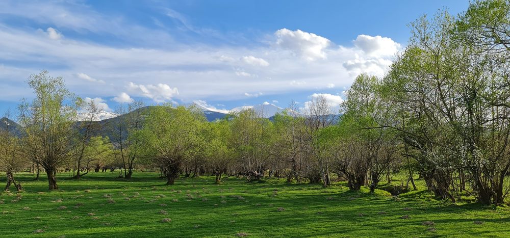 Teren superb la munte, suprafata 3000m/14euro mp