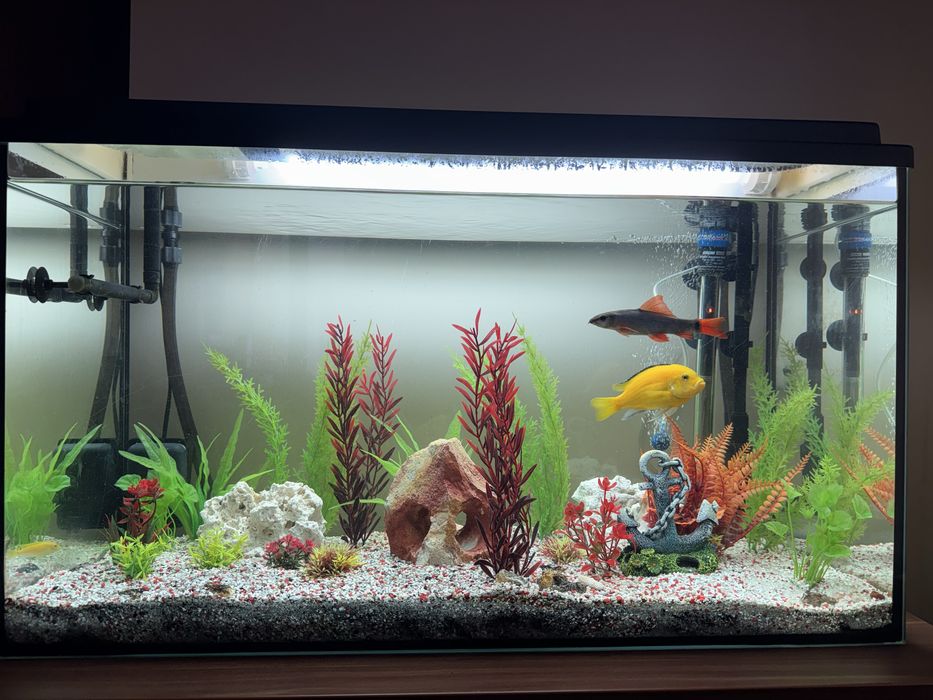 Acvariu complet 140 l