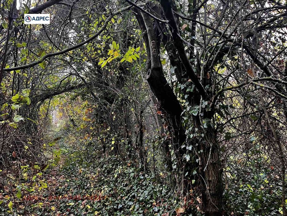 Продава се Парцел в Плевен, Кайлъка - 750 кв.м за 8 €/кв.м - Снимка #8