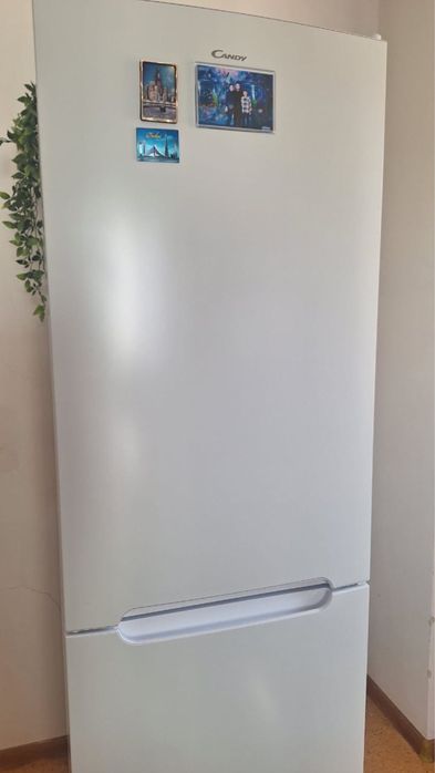 Холодильник Candy за 170000