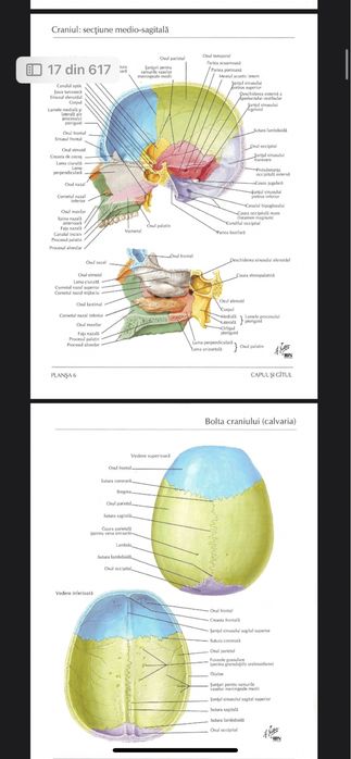 PDF atlas de anatomie umana