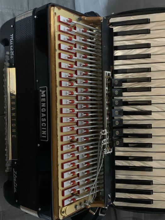 Acordeon Mengascini cu cameră + Amplificare