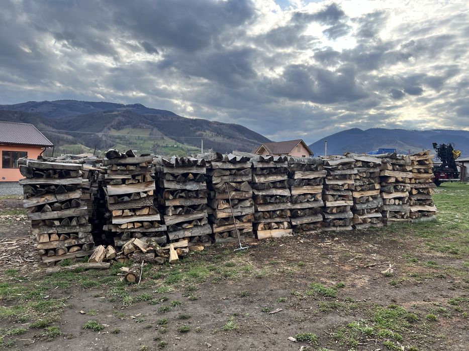 SC PAULA SILVA SRL vinde lemn de foc diverse specii